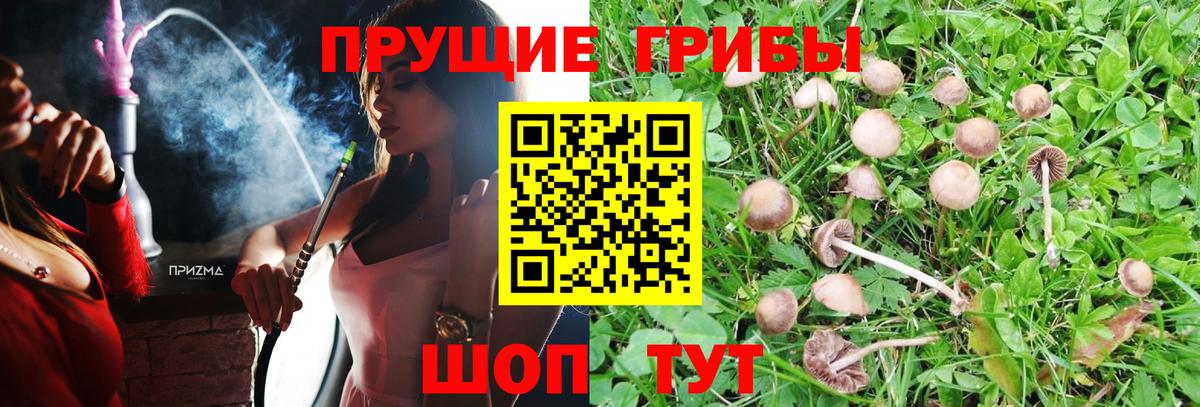 Кудымкар  Галлюциногенные грибы MAGIC MUSHROOMS  Вход с VPN 
